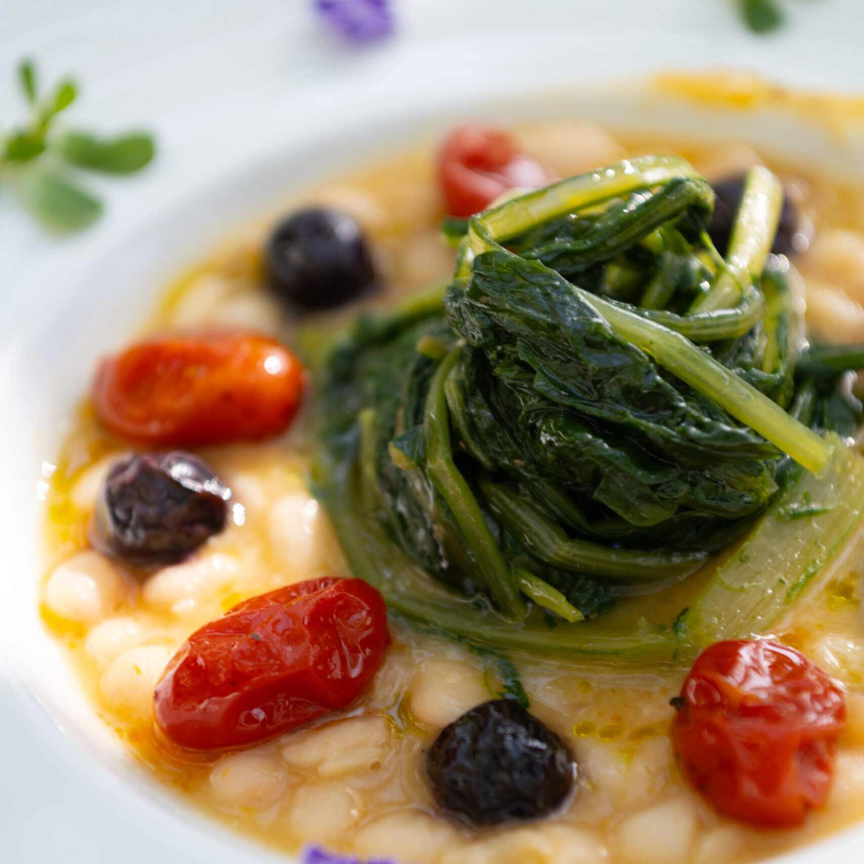 Magnum monocultivar olio guglielmi olio extravergine di oliva